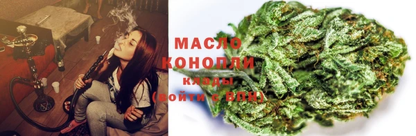 молекула духа Мегион