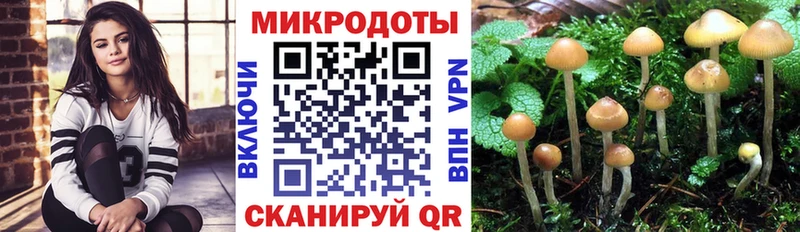 Купить где  Котельнич  Галлюциногенные грибы мицелий 